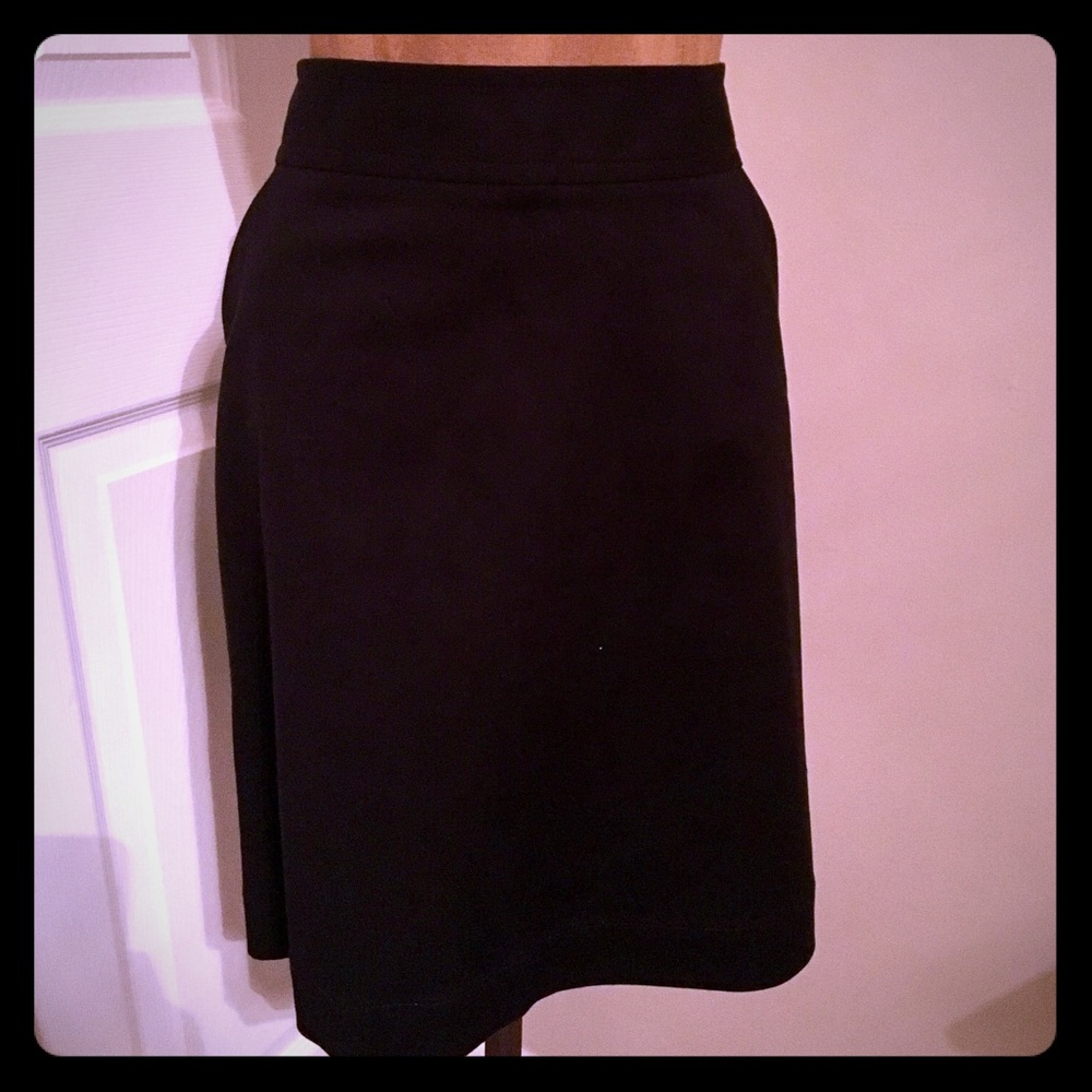 Banana Republic Pencil Skirt